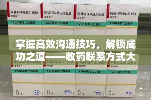 桂林掌握高效沟通技巧，解锁成功之道——收药联系方式大全指南