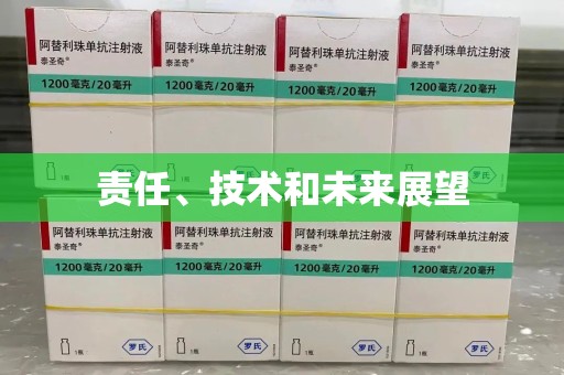 桂林责任、技术和未来展望
