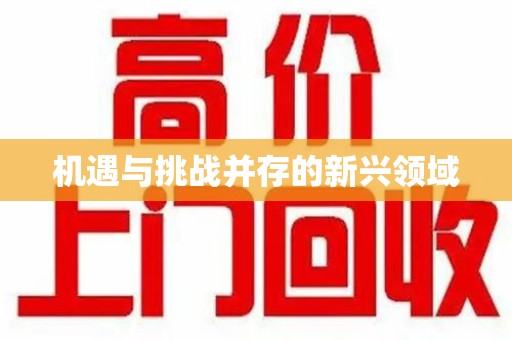 桂林机遇与挑战并存的新兴领域