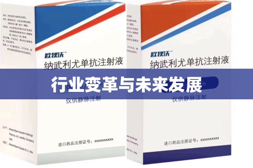 桂林行业变革与未来发展