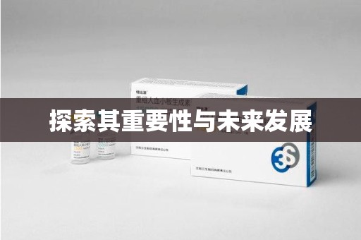 桂林探索其重要性与未来发展