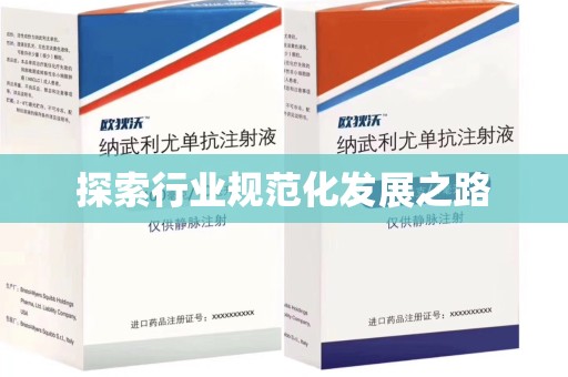 桂林探索行业规范化发展之路