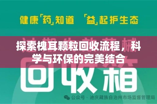 桂林探索槐耳颗粒回收流程，科学与环保的完美结合