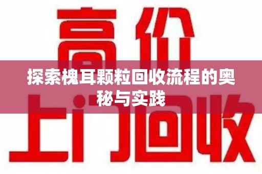 桂林探索槐耳颗粒回收流程的奥秘与实践