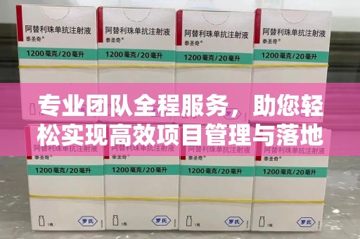 桂林专业团队全程服务，助您轻松实现高效项目管理与落地